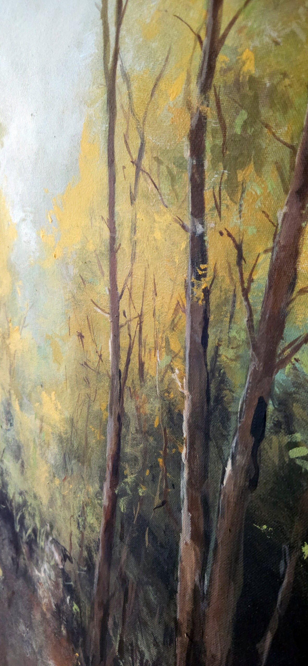 Mystérium lesa – Obrázok 6